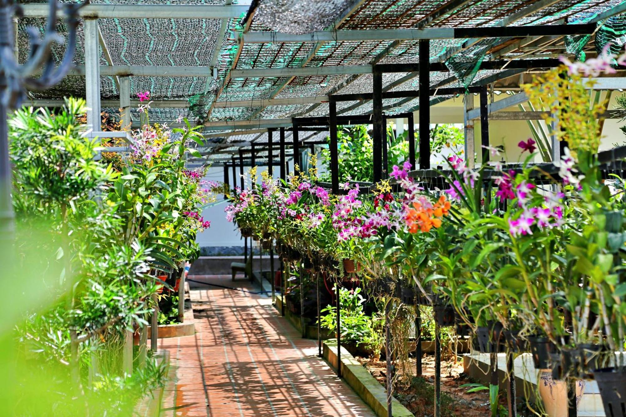 881 Lam Ha Pool Resort Duong Dong Exterior foto